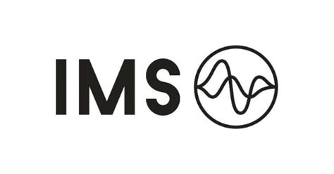 International Media Support